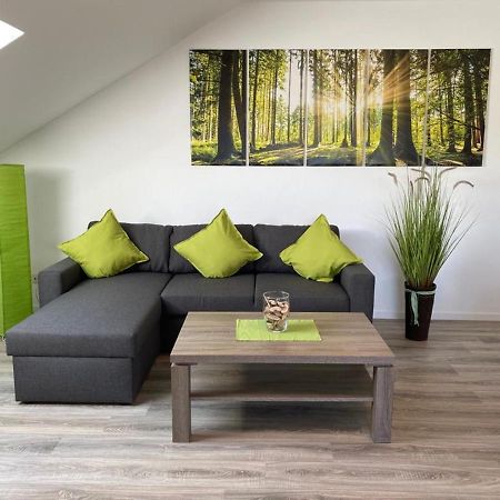 Ferienwohnung Frieda Mit Ueberdachtem Balkon Winterberg Exterior foto